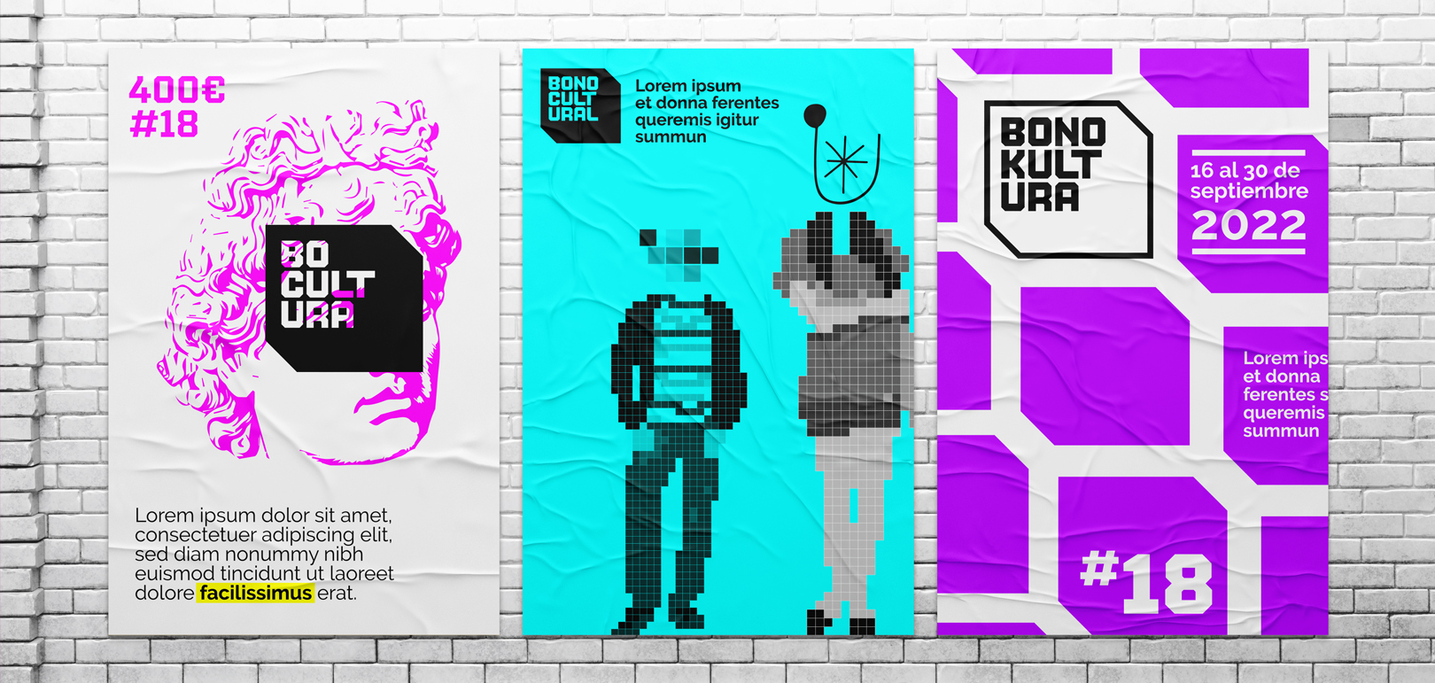 carteles calle BONO CULTURAL